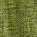 HT0019 var.410